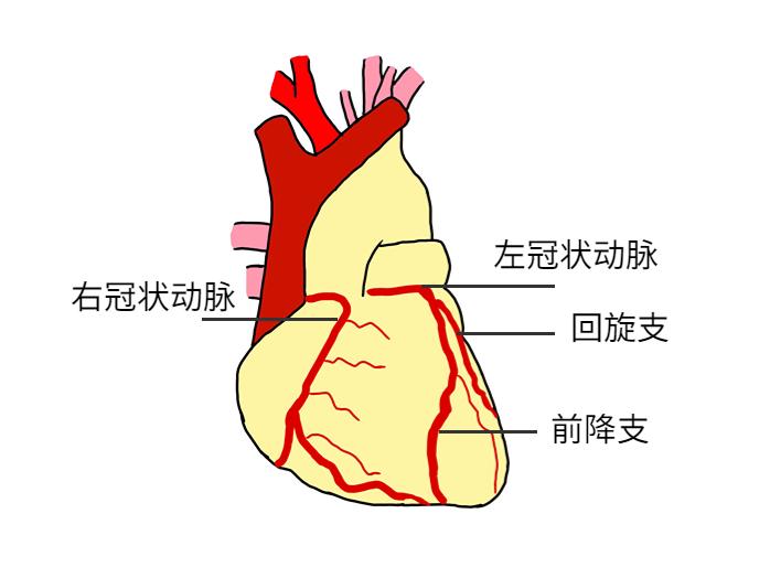 DƬ